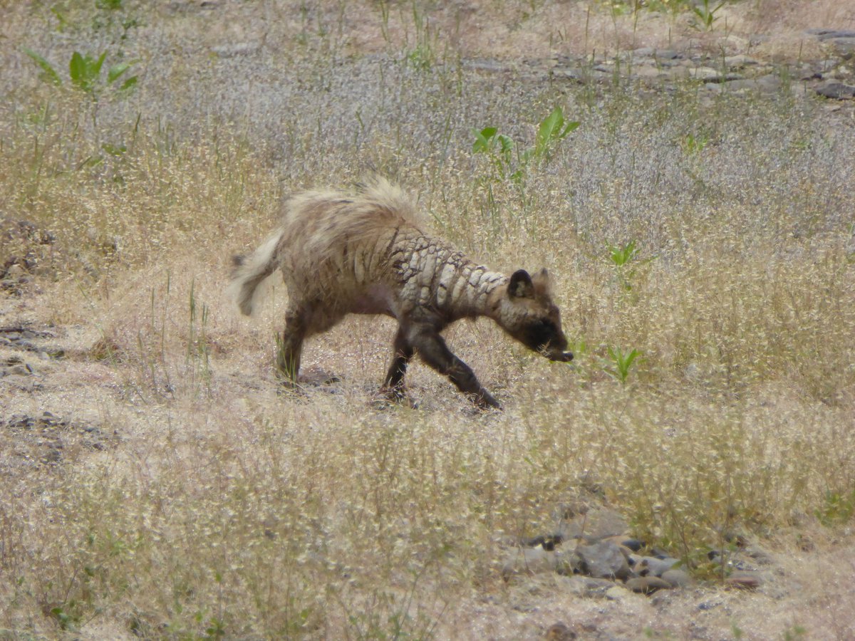 がにまる tweet media