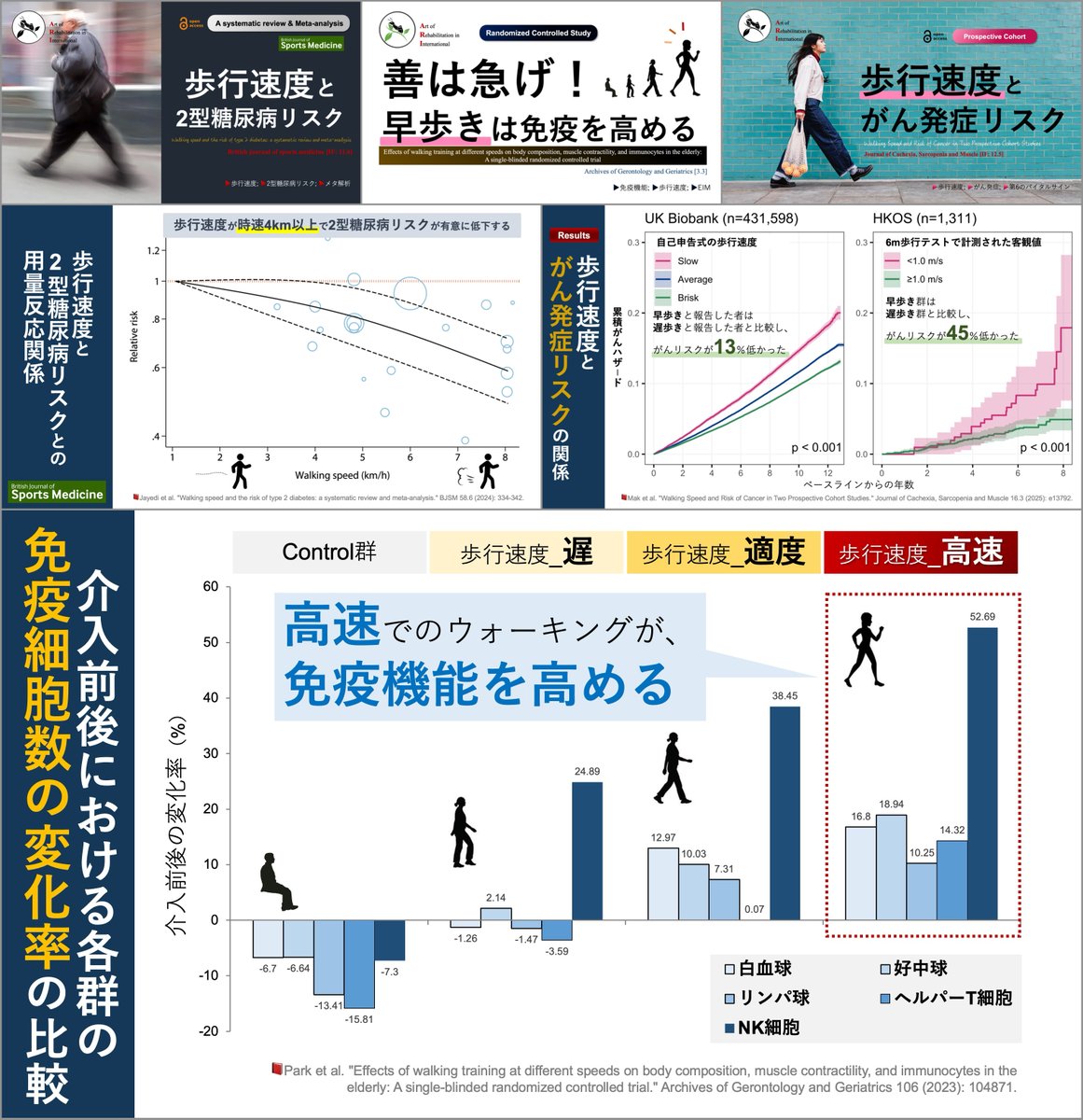 理学療法士_海津陽一 Ph.D. tweet media