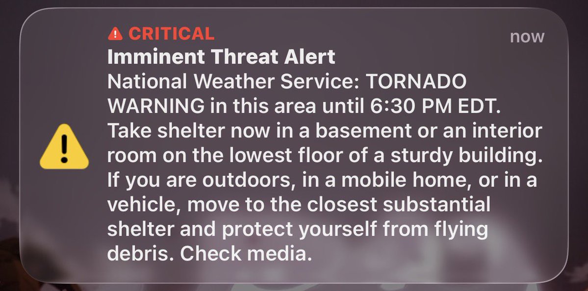 BossHog 🇵🇷 tweet media