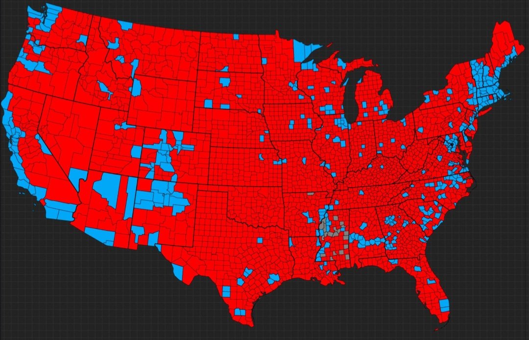 Wizzy Wiggy tweet media