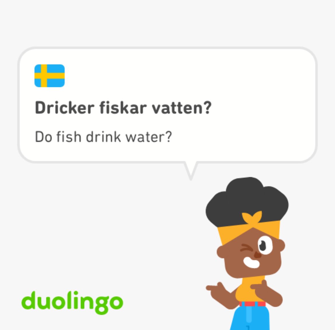 strange duolingo sentences tweet media