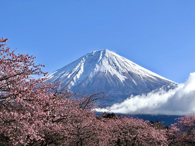 介護家族の安らぎサポーター tweet media