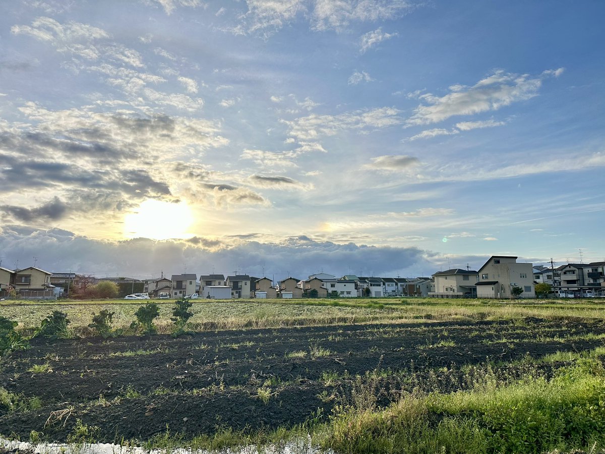 ねたもへ tweet media