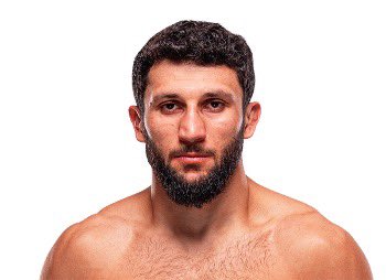 Blind Bear 🐻🕶️ tweet media