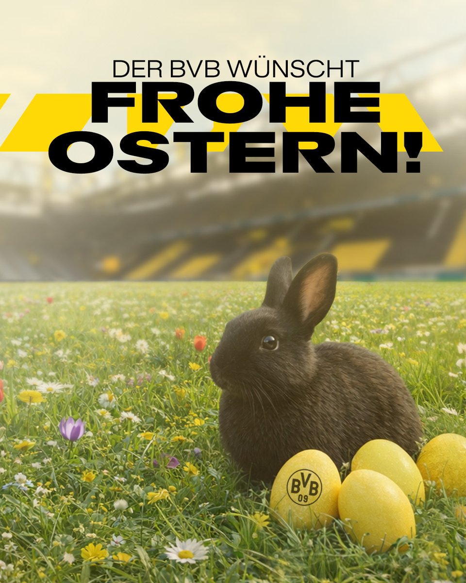 Borussia Dortmund tweet media