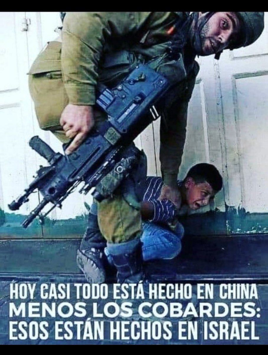 Martin Zolo tweet media