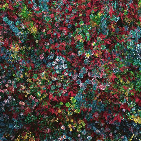 Nature & Human tweet media