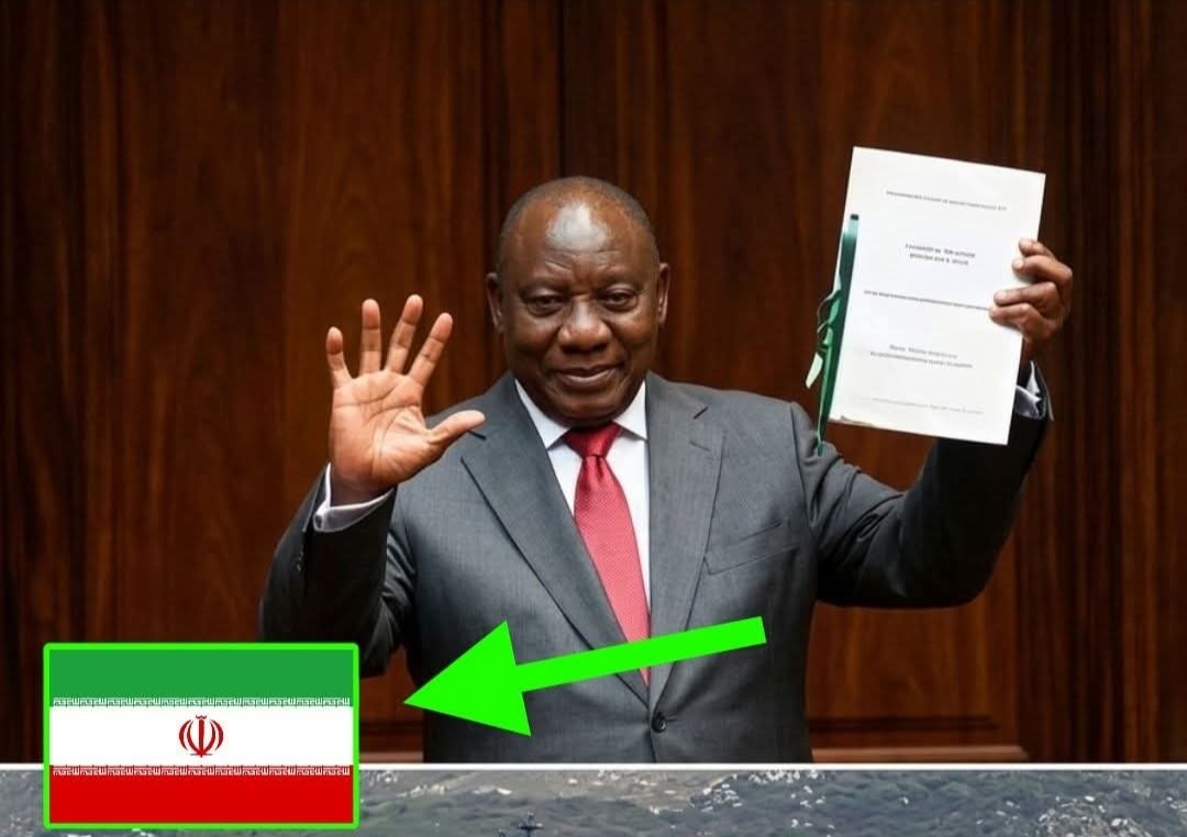 🔻🇲🇷 MADIBA.🇪🇭🇵🇸🇩🇿🇨🇺🇲🇽 tweet media