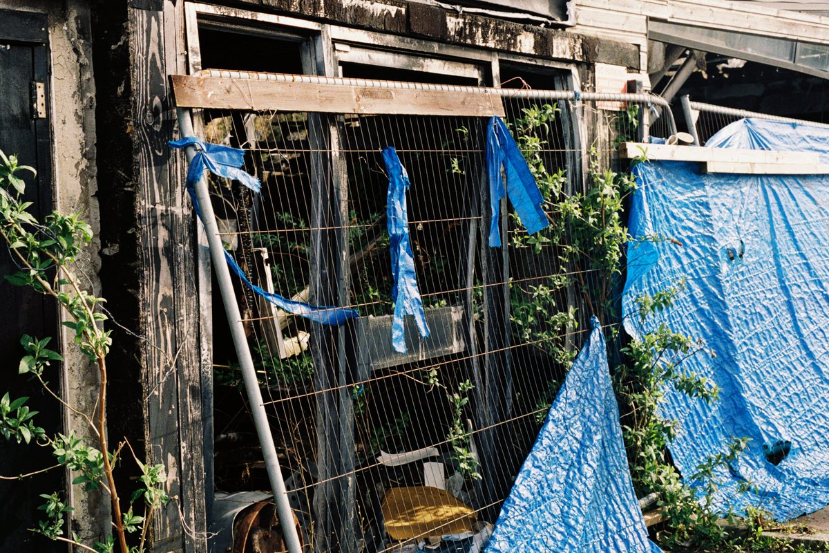 elle 🐇 tweet media