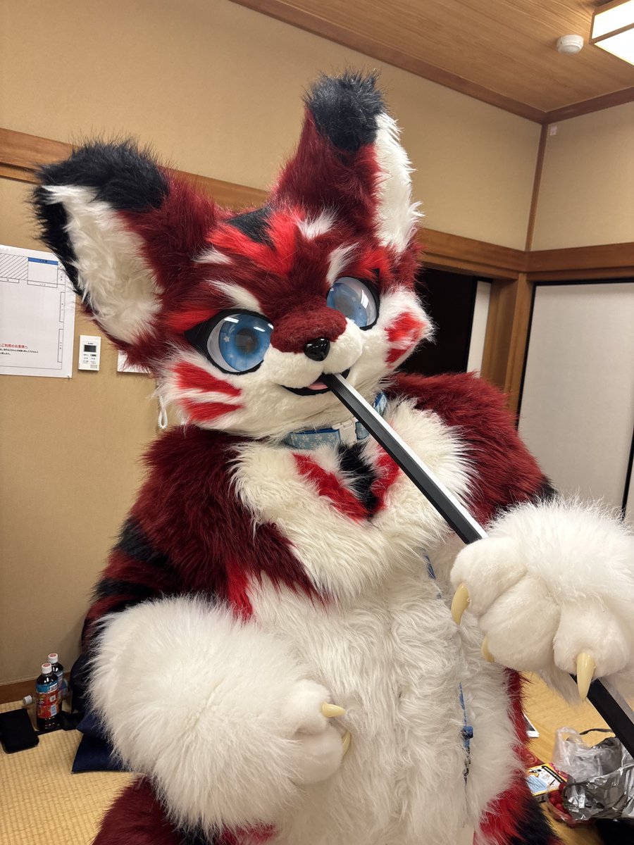 ゆみてぃリゾート 𝙉𝙚𝙭𝙩 ︎⇝はつじゅー16 tweet media