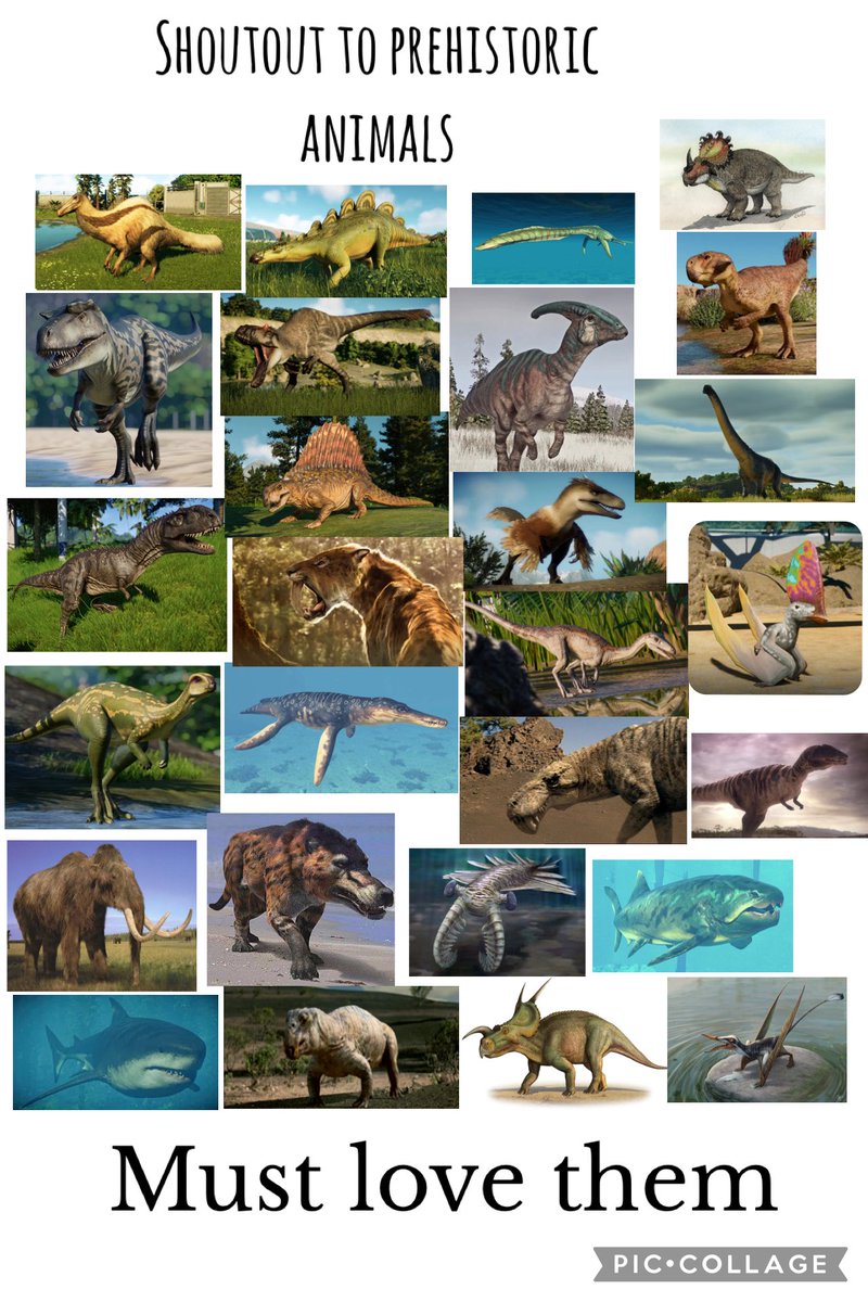 The Utahraptor Enthusiast 🦖🧬👾🐲 tweet media