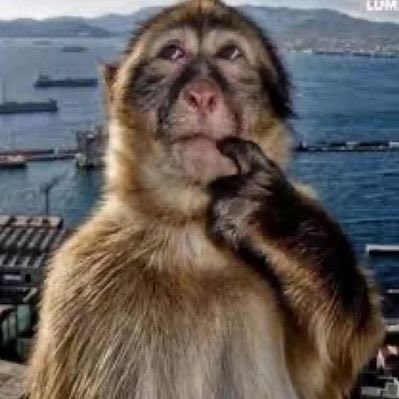 marshall tweet media