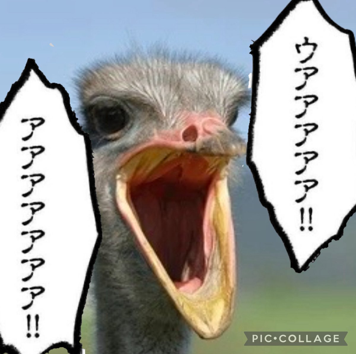 人生は分岐点 tweet media