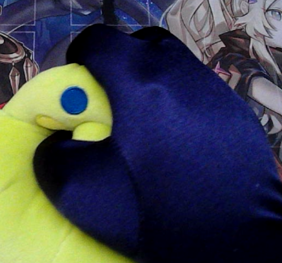 AKAA 🪲💤【VTWINKIES】 tweet media