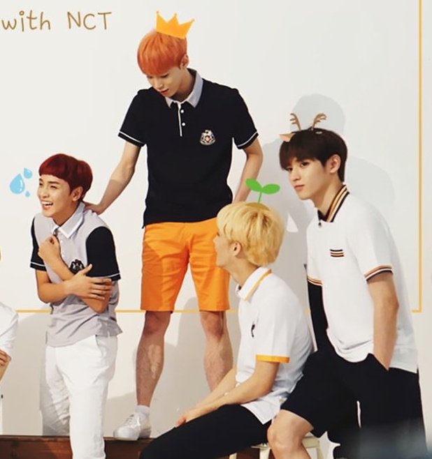 tydy archive tweet media