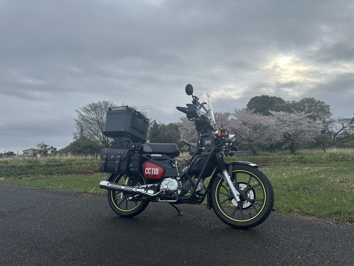 秘密基地moleと風來の森　管理人 tweet media