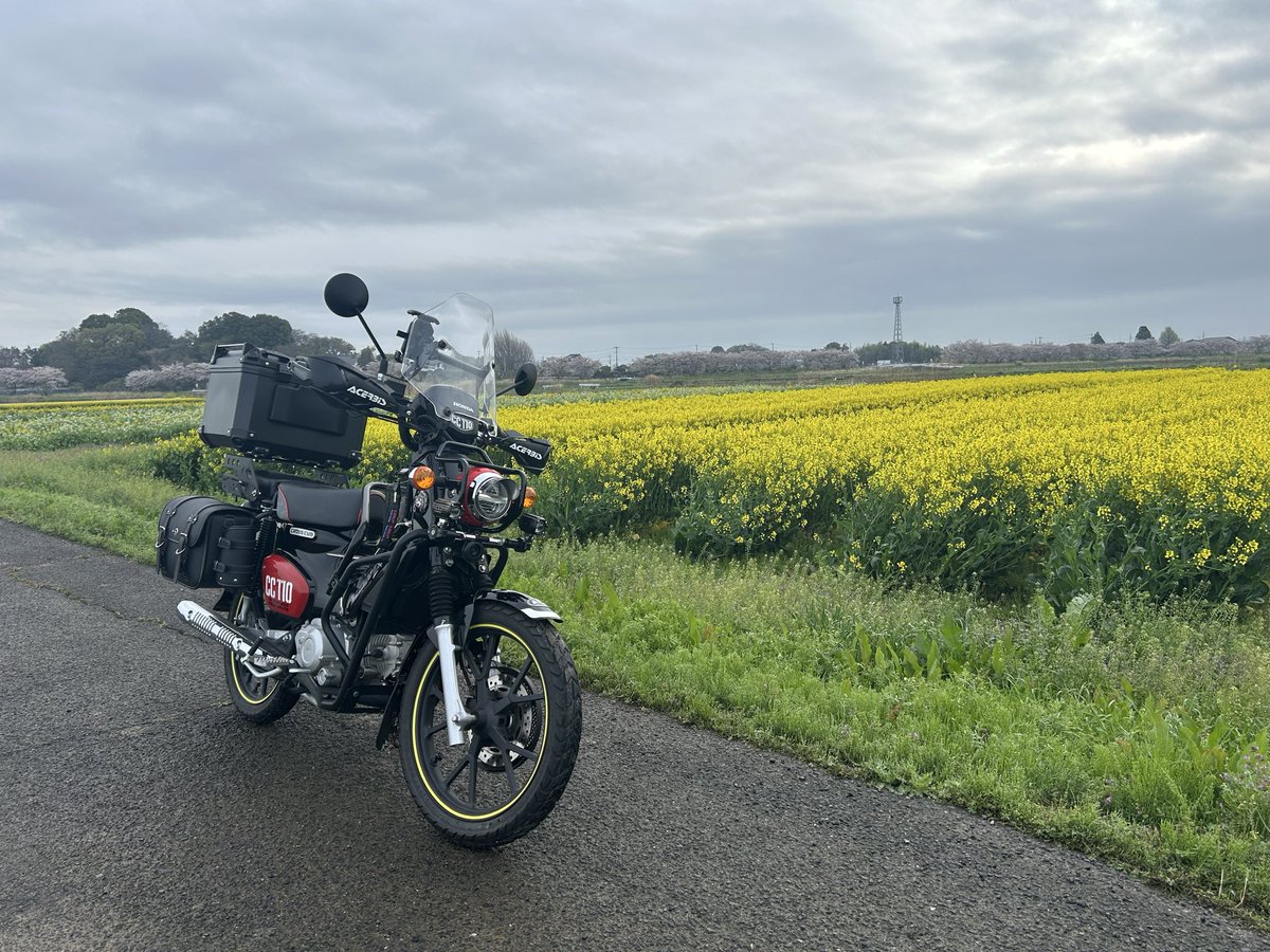 秘密基地moleと風來の森　管理人 tweet media