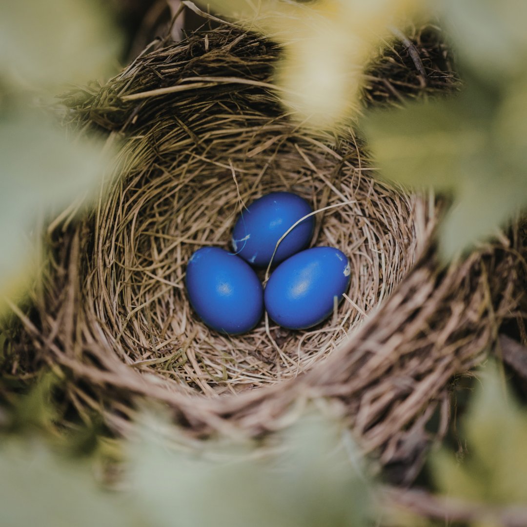 Add more to your nest egg this Easter.
…and no, we don’t mean chocolate.

Start building your nest egg today: hubs.li/Q049pgQd0
 
Happy Easter 🐣