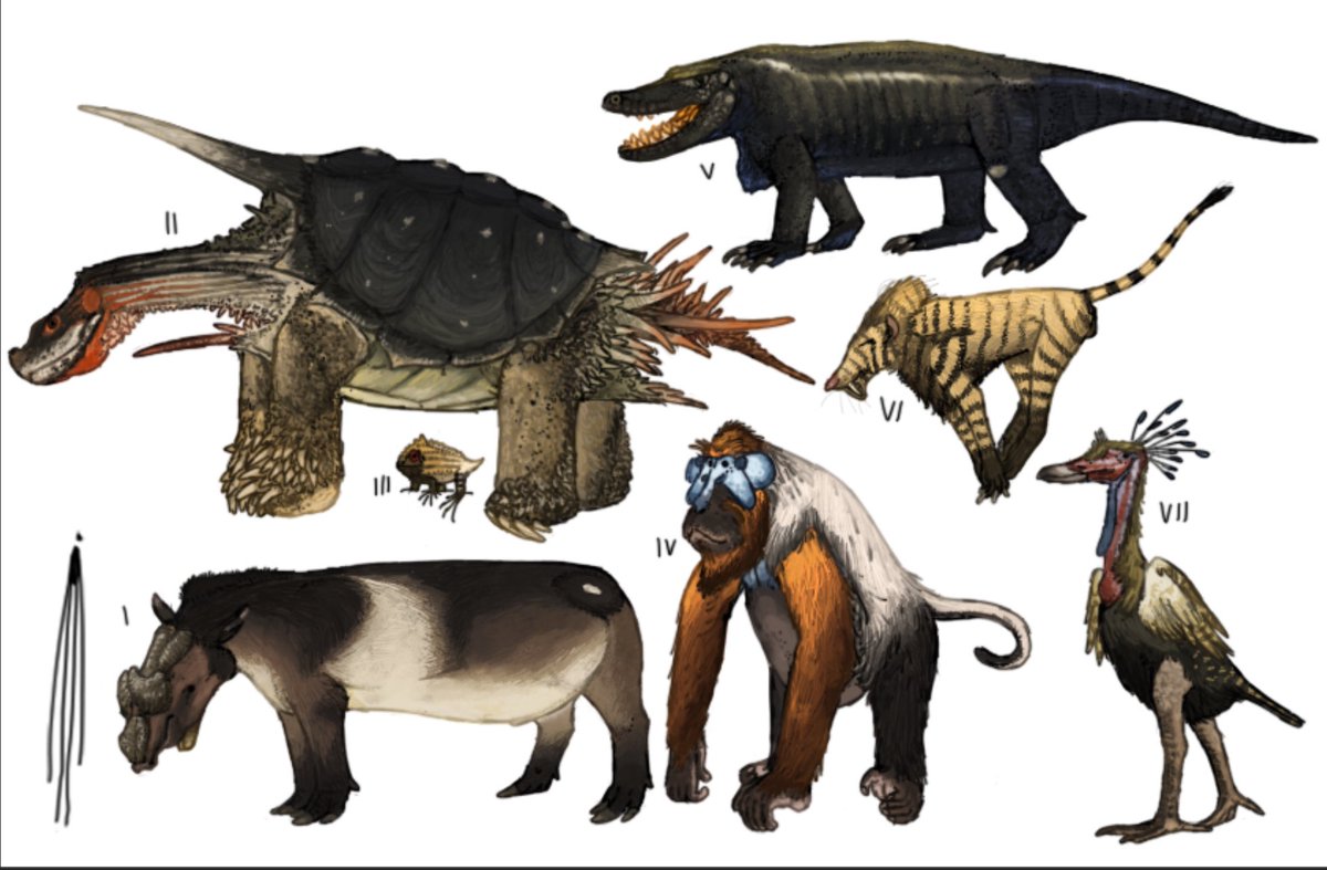 Feller .COMMS OPEN! tweet media