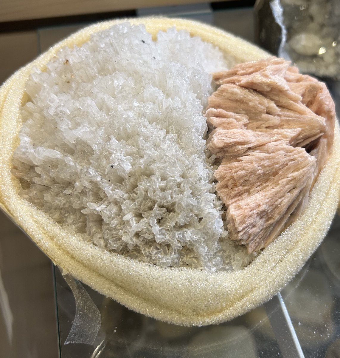 𓊆ྀི 𓈒 ݁ 𝓂ae ౨᭪ tweet media