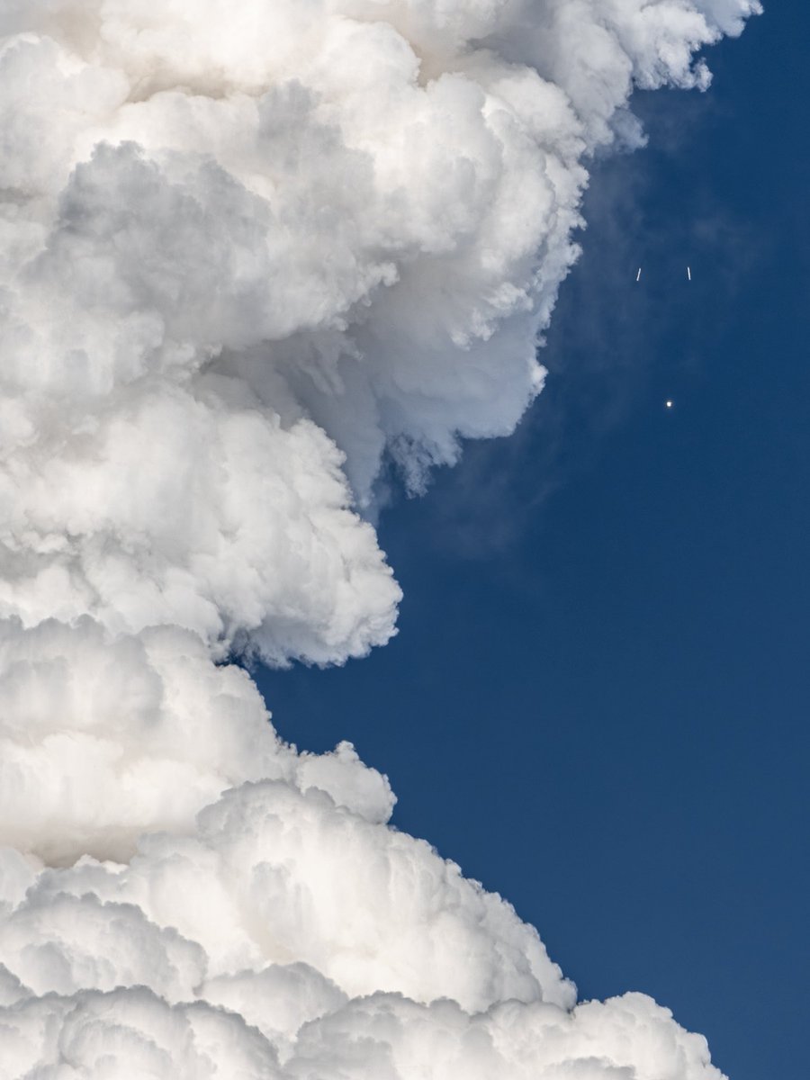 Jaiden Floyd tweet media