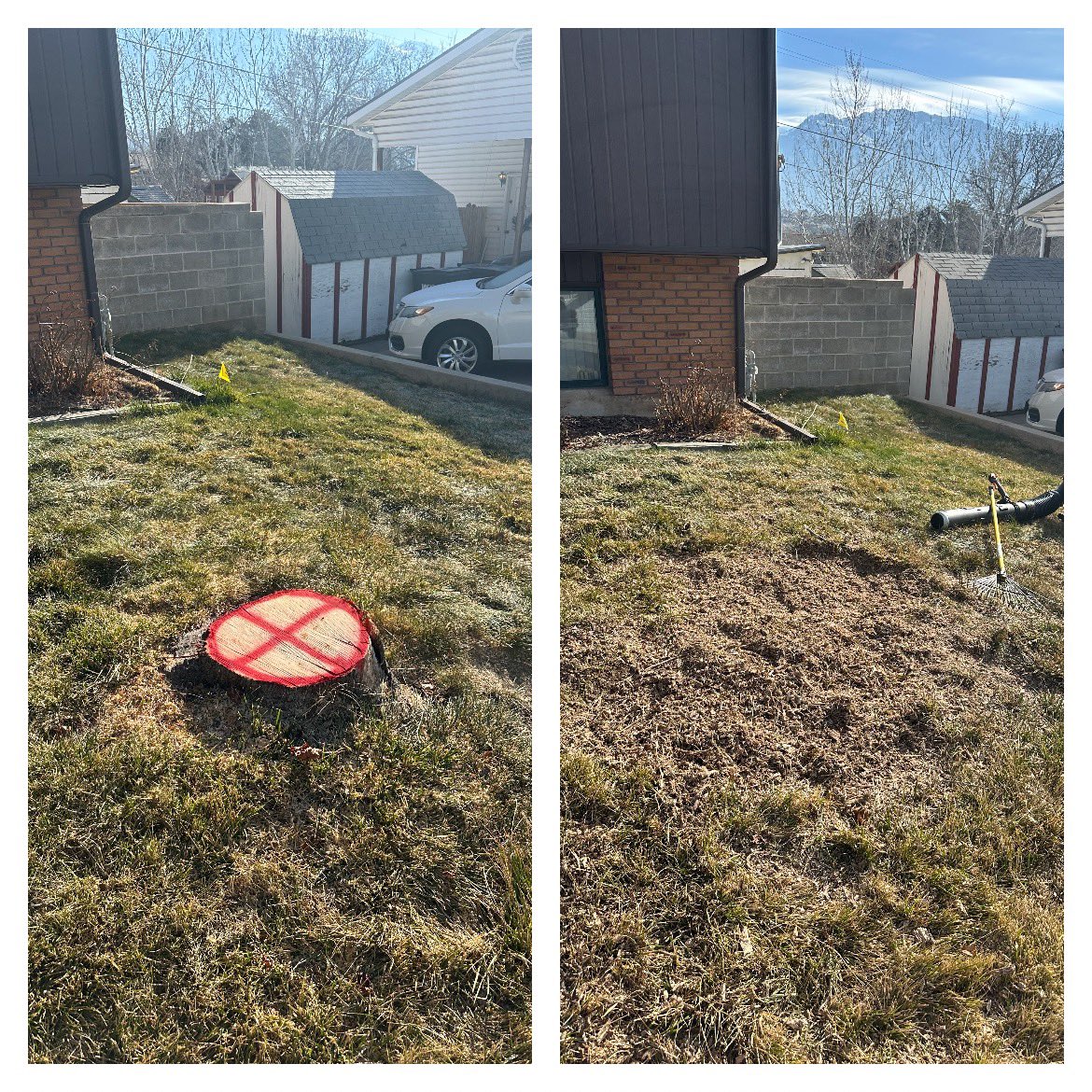 Tyler Mumford - The Stump Guy tweet media