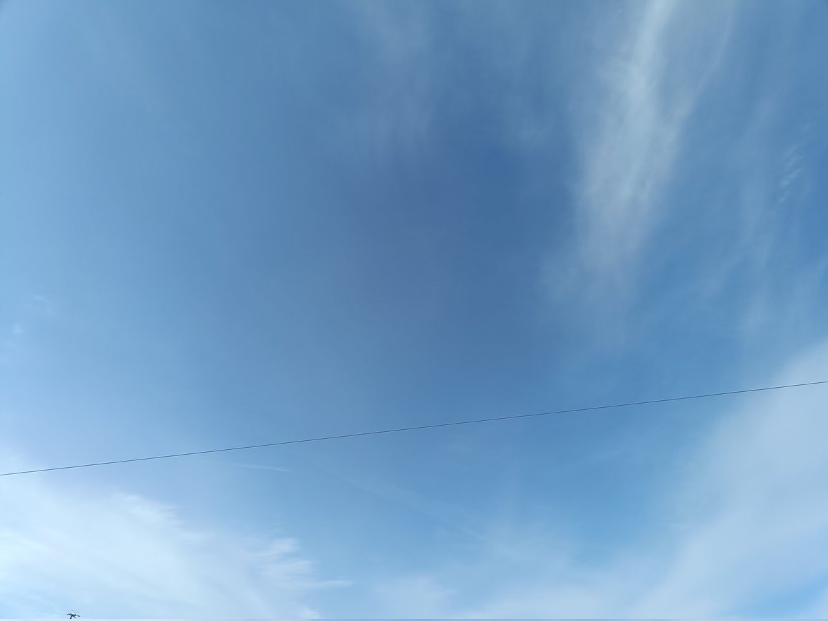 𝕪𝕦𝕦𝕜𝕠🌼*ﾟ〜be happy everyone🍀〜 tweet media