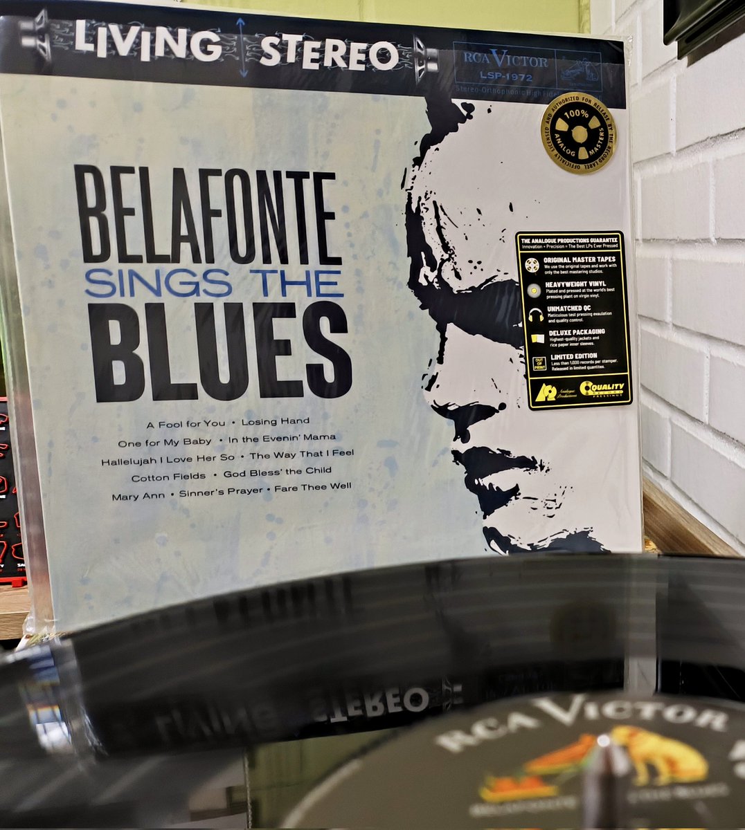 #VamosTemuco tweet media