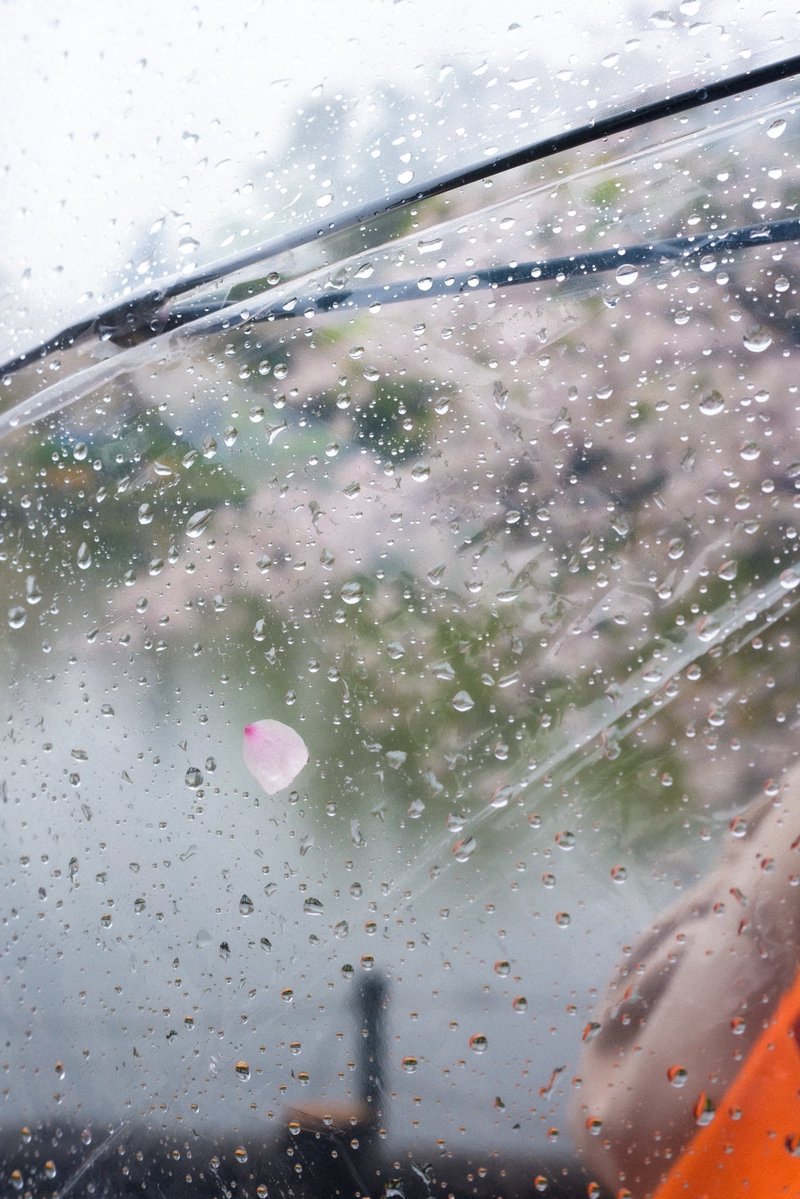 mashuu -ましゅう- tweet media