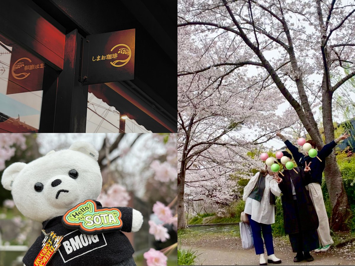 ニコ.🐬 tweet media