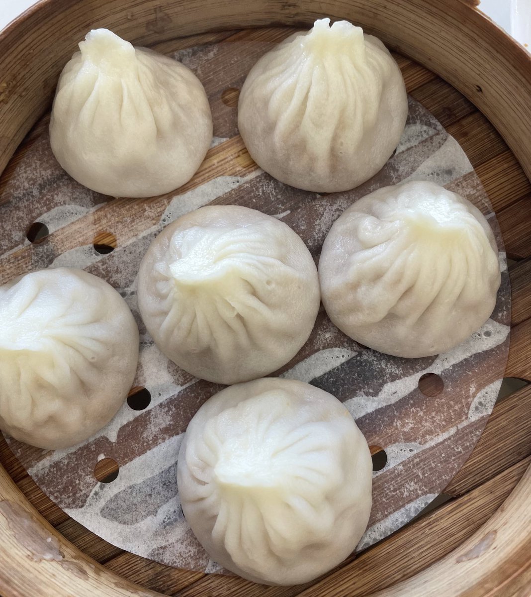 vivi 🦁 #teambriar tweet media