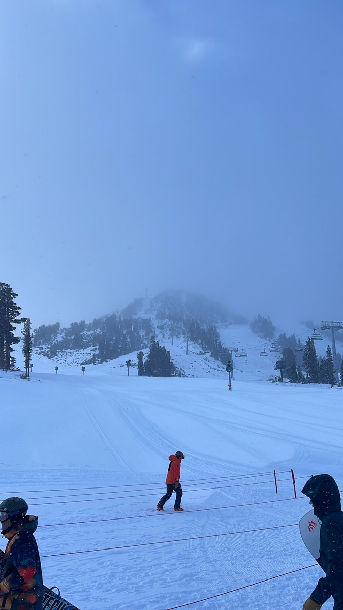 bumbadum tweet media