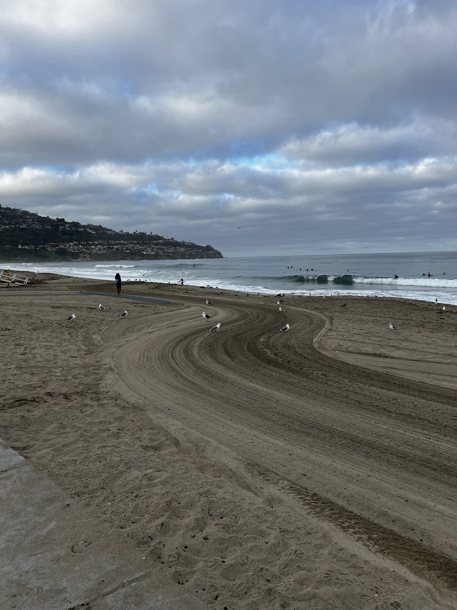 bumbadum tweet media