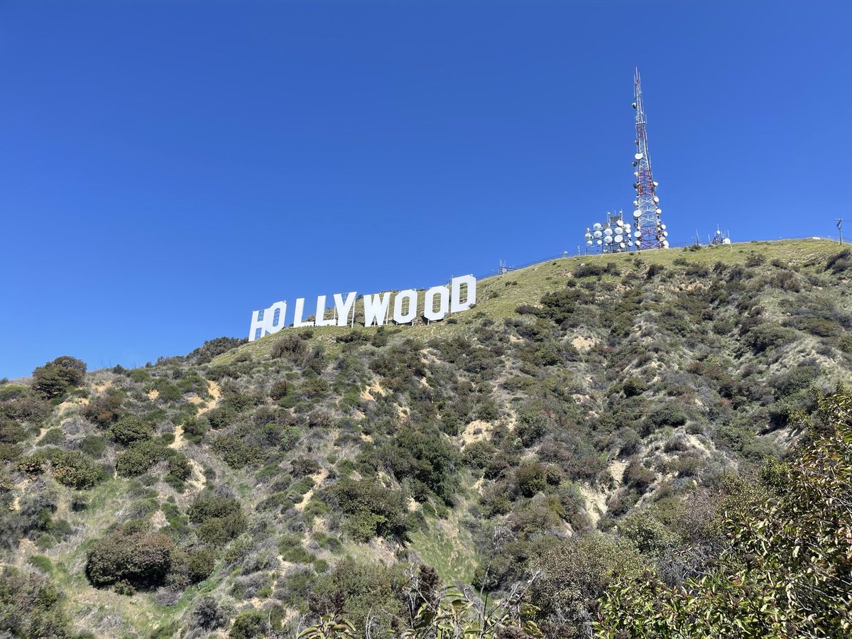 bumbadum tweet media