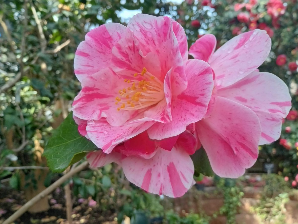 ぼっち tweet media