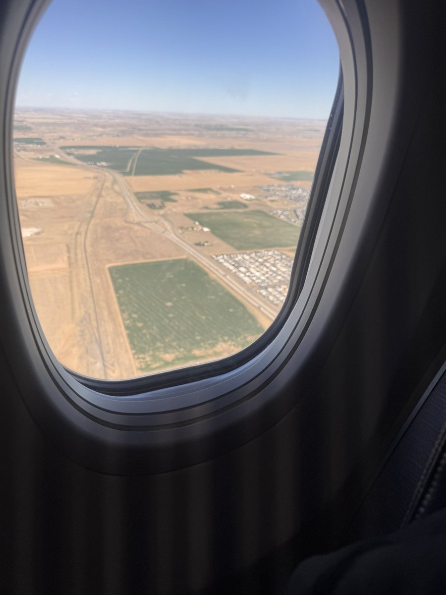 Medic_Sarcastic tweet media