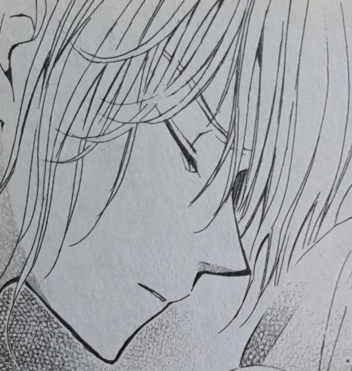 Zebra 🦓 tweet media