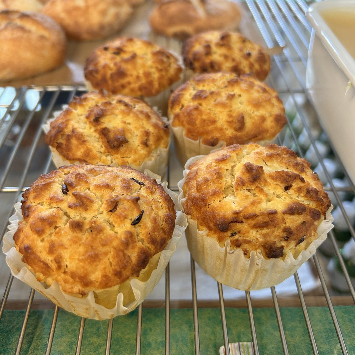 マスジマトモコ tweet media