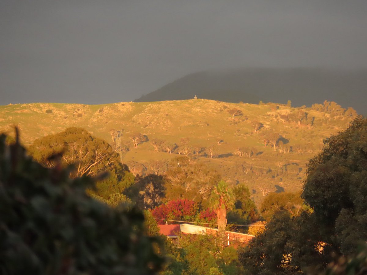 wapple15's tweet image. Good morning #Canberra ☁️🌥️☁️