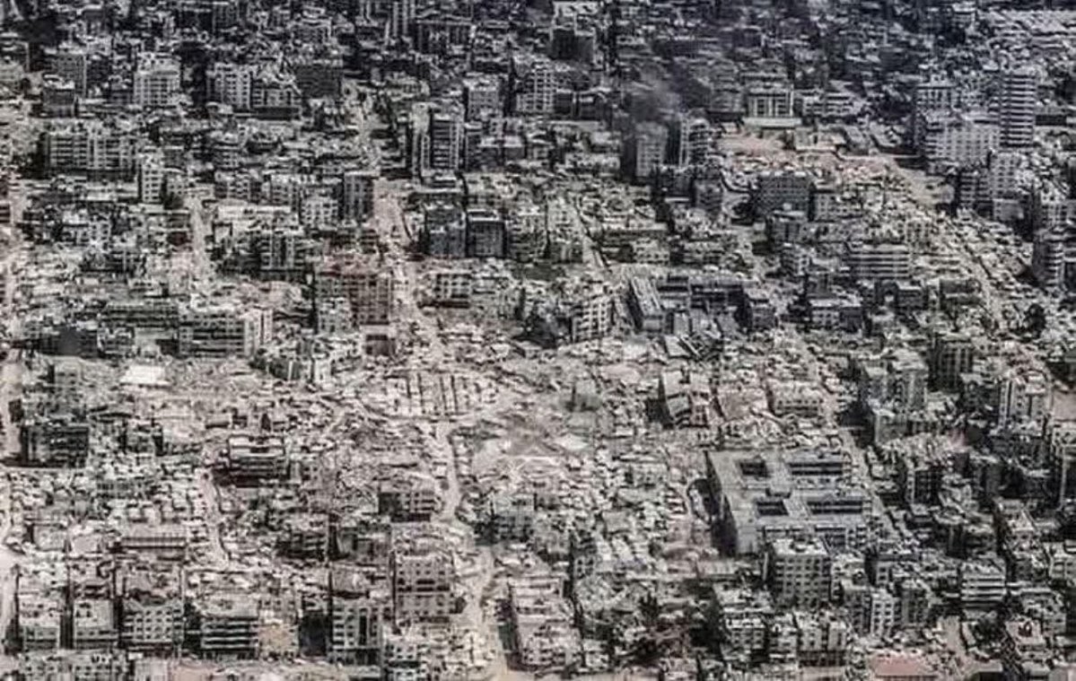 Oktay Zingal tweet media