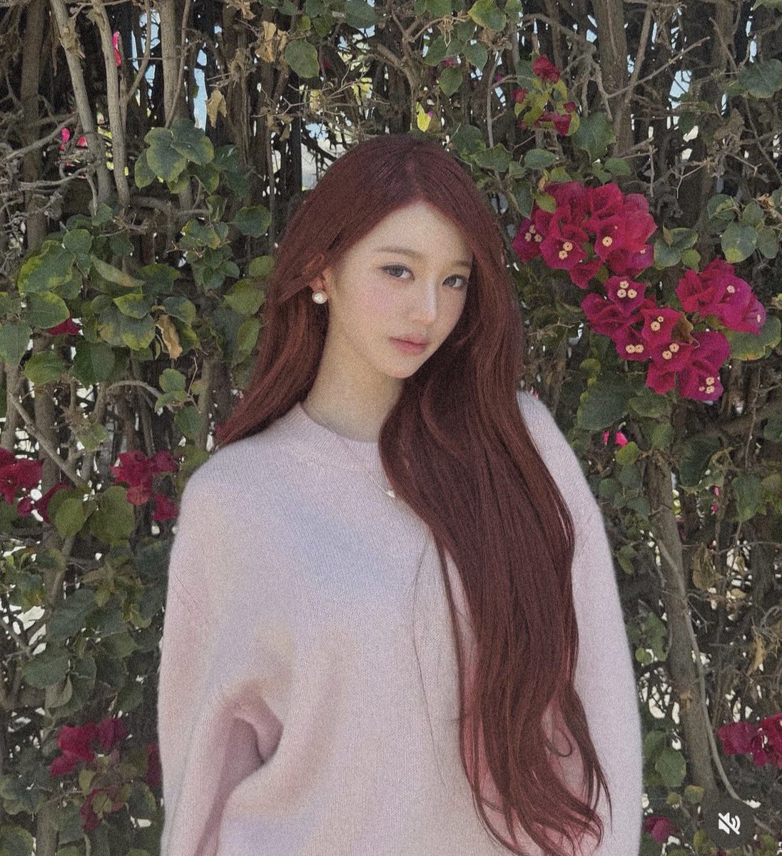 Nunca me quiten las flores 🌺