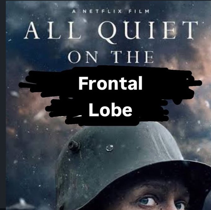 KatyushaIV tweet media