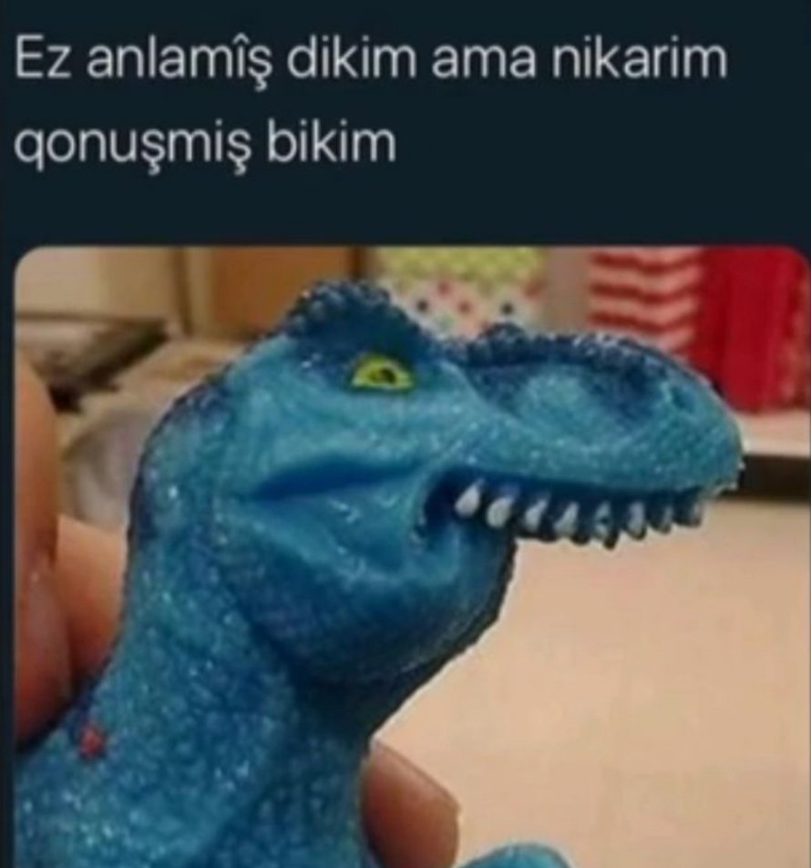 Elî MED tweet media