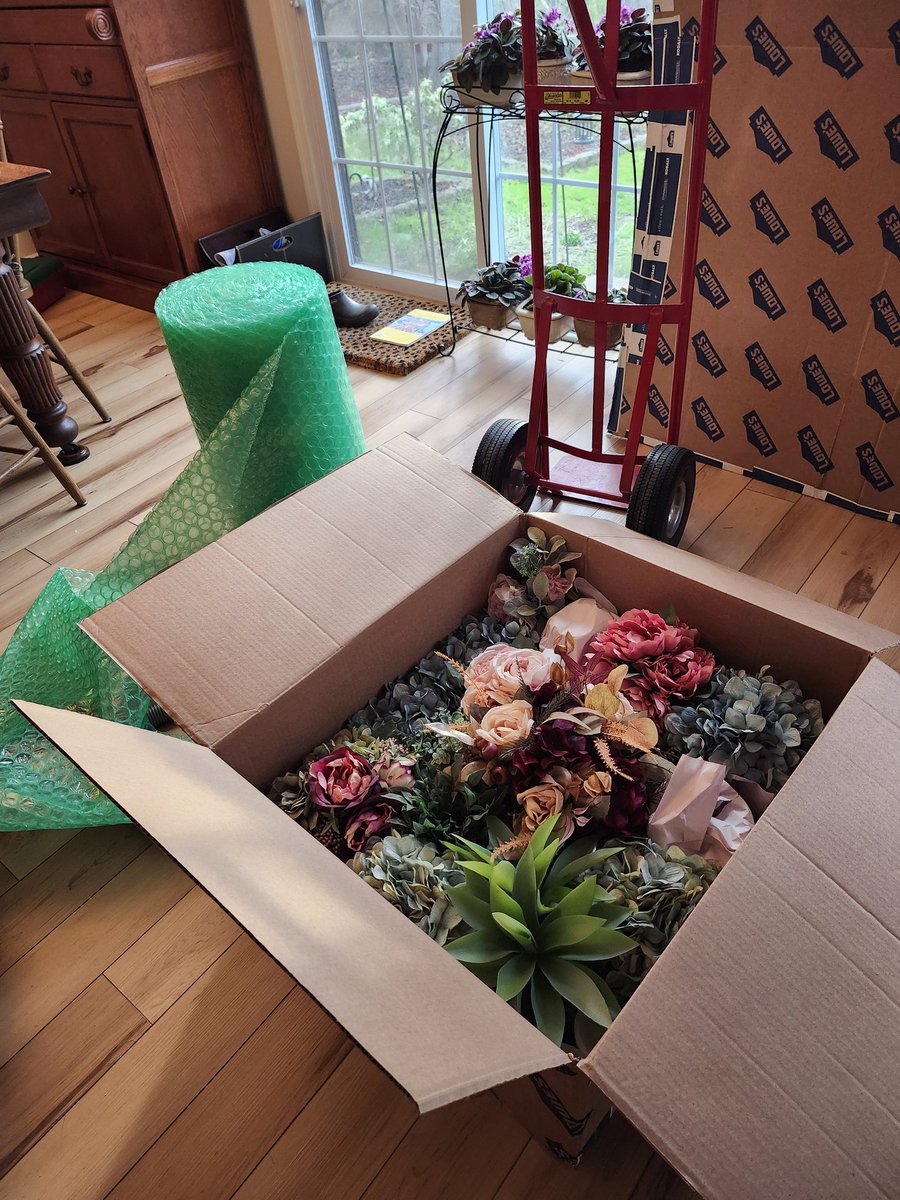 War Witch will hold this territory tweet media