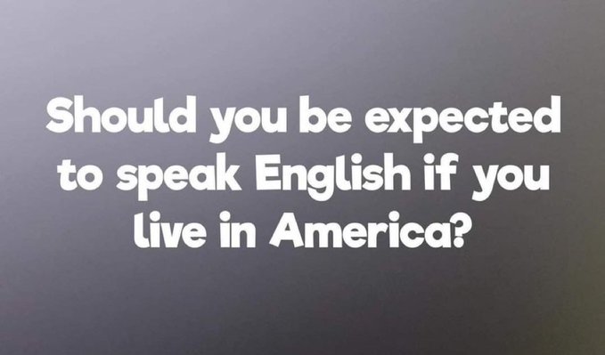 Trumplicans2024.com tweet media