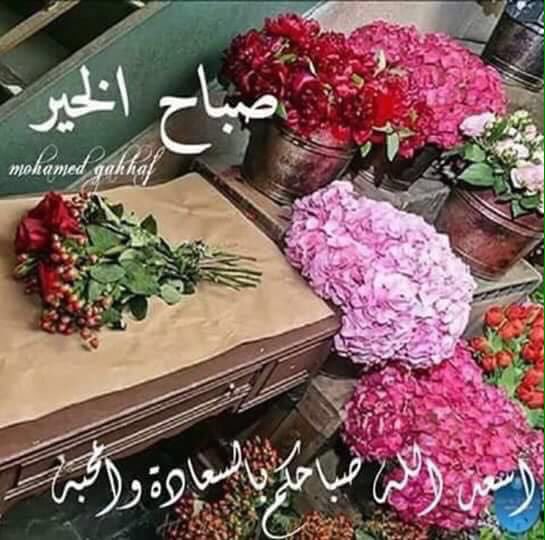 ابو محمد tweet media