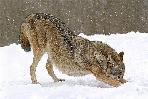 💜 Noon 💜 🔜FWA tweet media