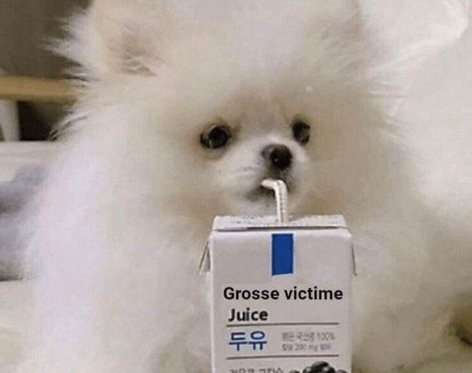 M Salvadori 🇫🇷 tweet media