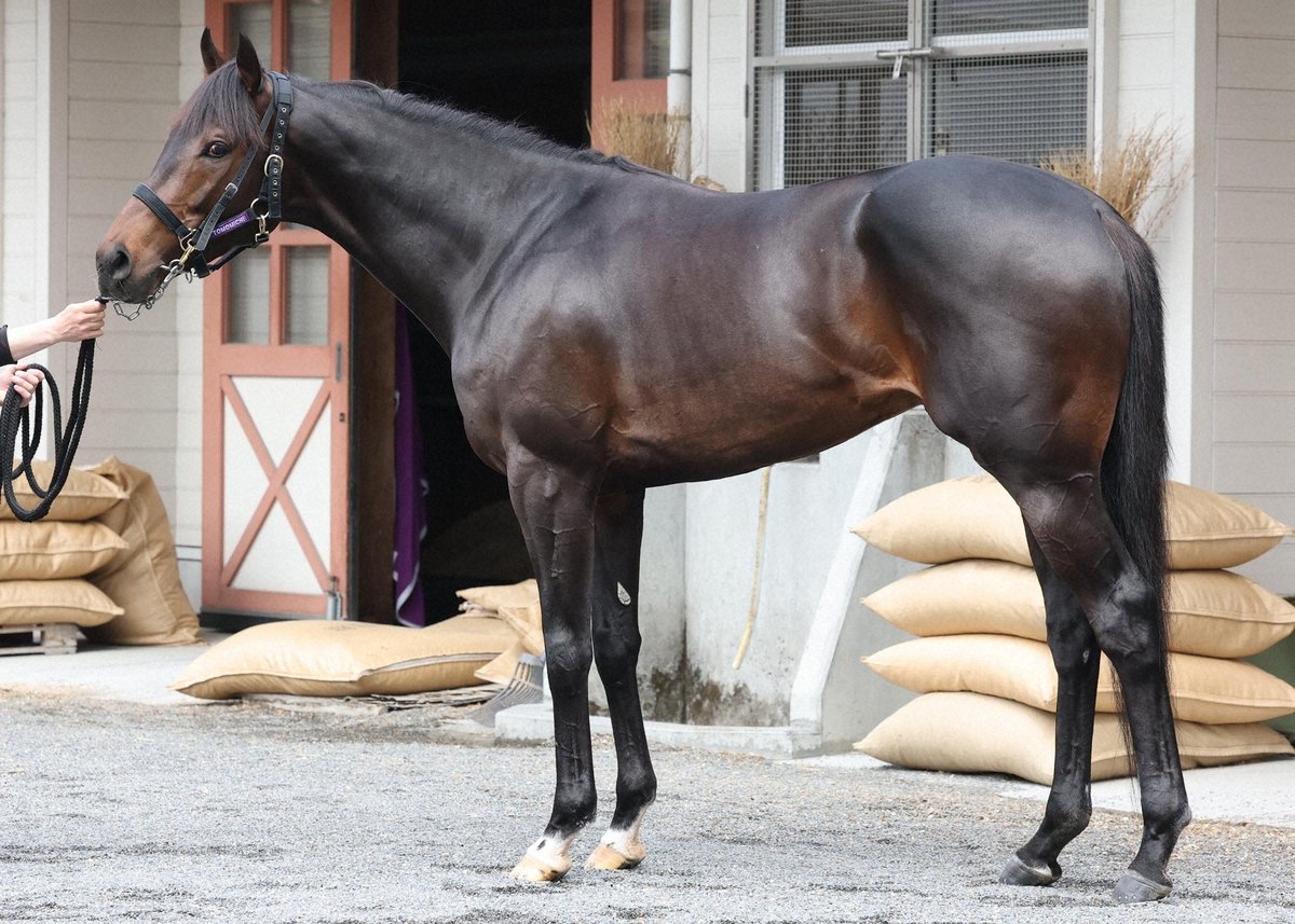 가나시스(ガナシス) tweet media