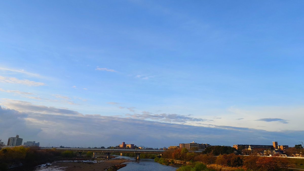 マーシー🤓🌱✨❤️2nd tweet media